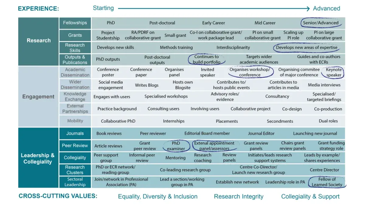 Example of how the Research Careers Tool can be completed for an advanced career researcher