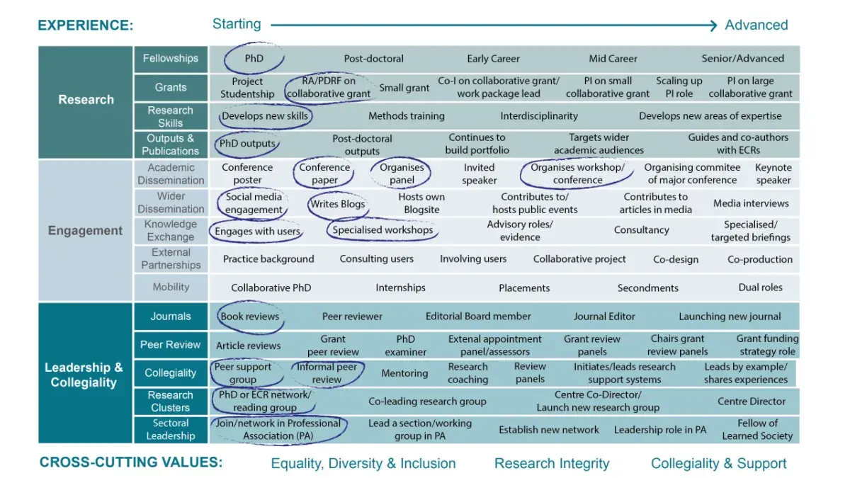 Example of how the Research Careers Tool can be completed for an early career researcher
