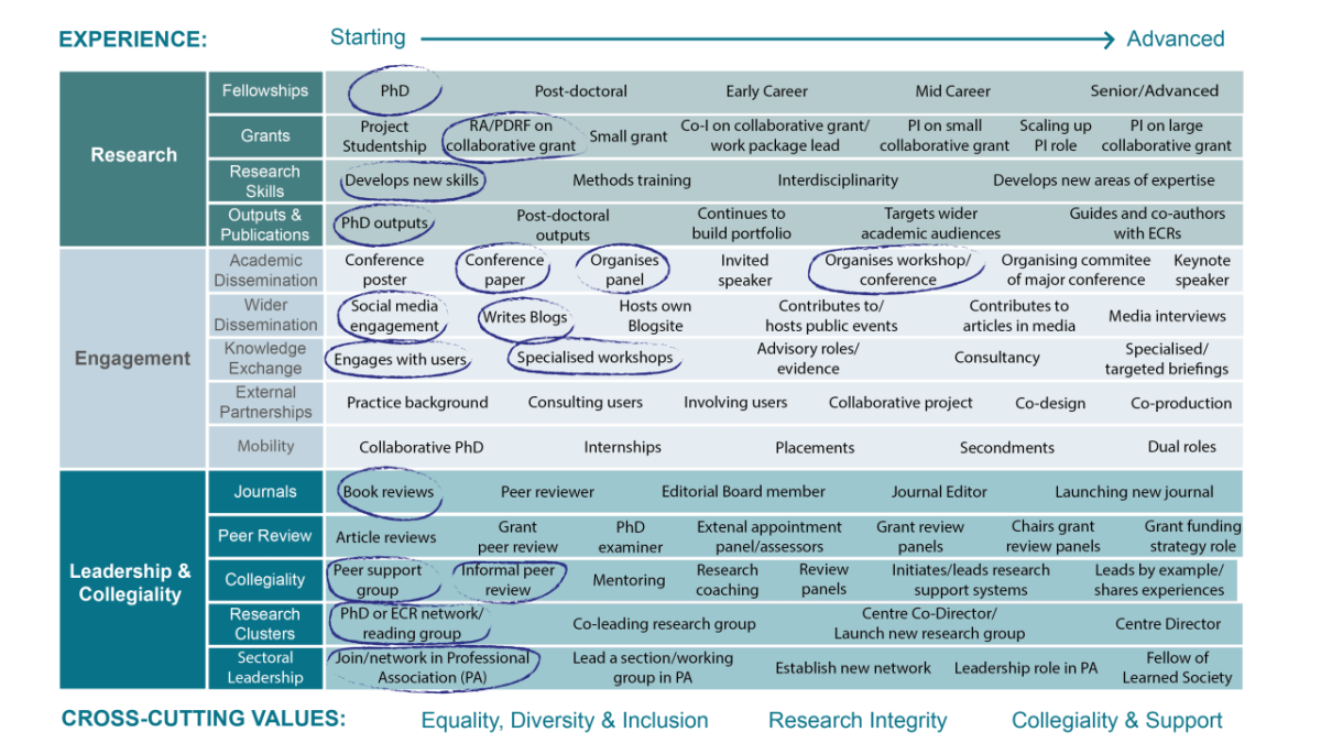 Example of how the Research Careers Tool can be completed for an early career researcher