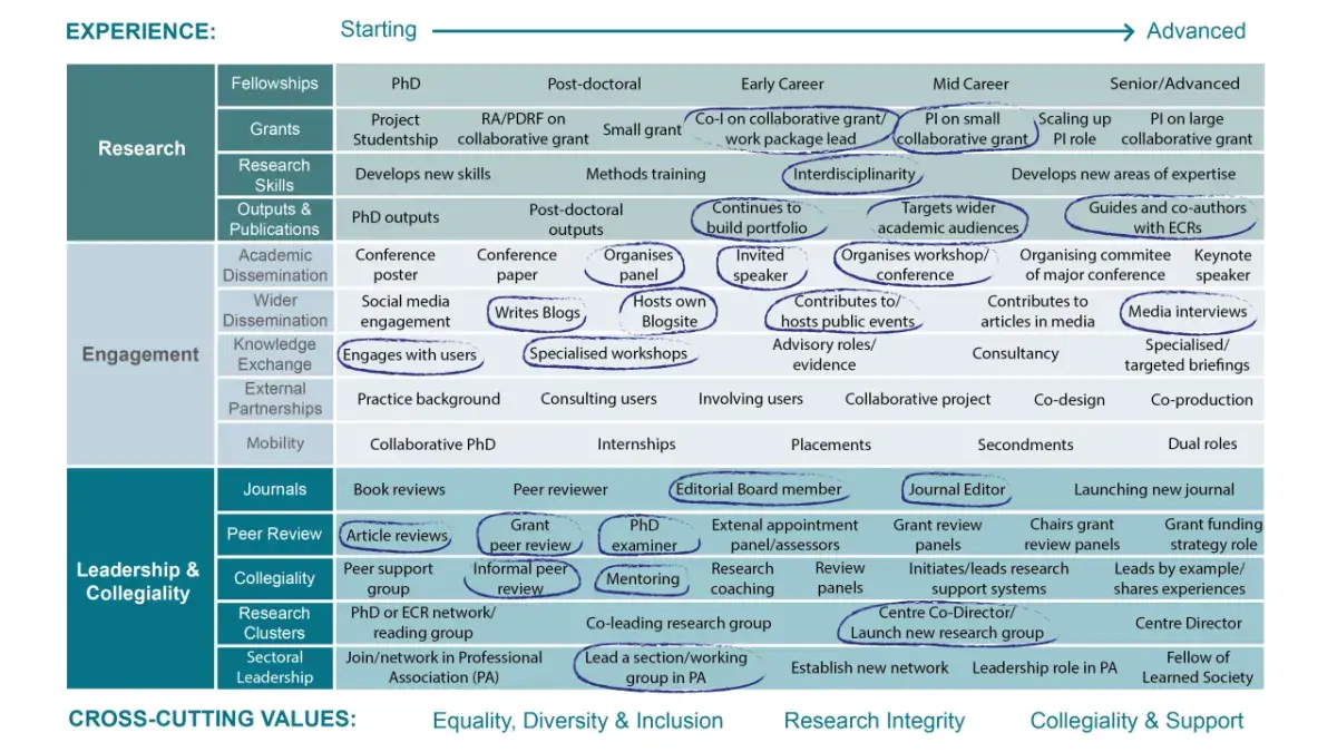 Example of how the Research Careers Tool can be completed for a mid career researcher