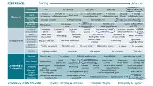 Example of how the Research Careers Tool can be completed for an advanced career researcher