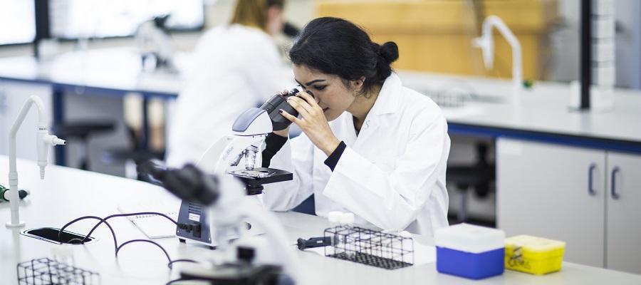 A lab student looking in microscope