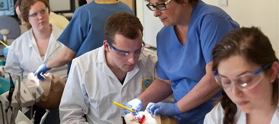 Dental teaching