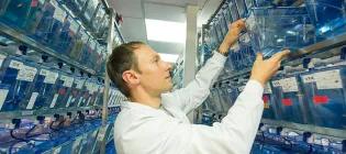 A portrait of a researcher