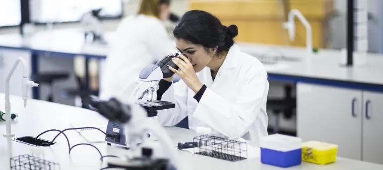 A lab student looking in microscope