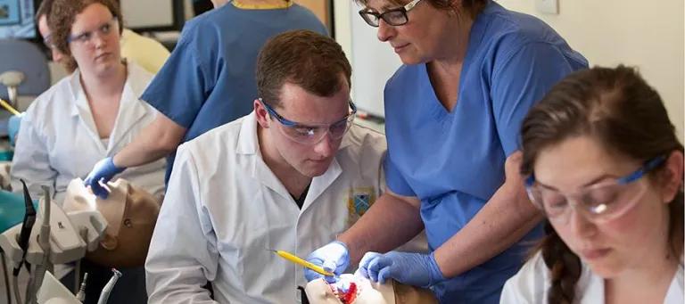 Dental teaching